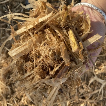 黄储牛羊最爱，都是新料