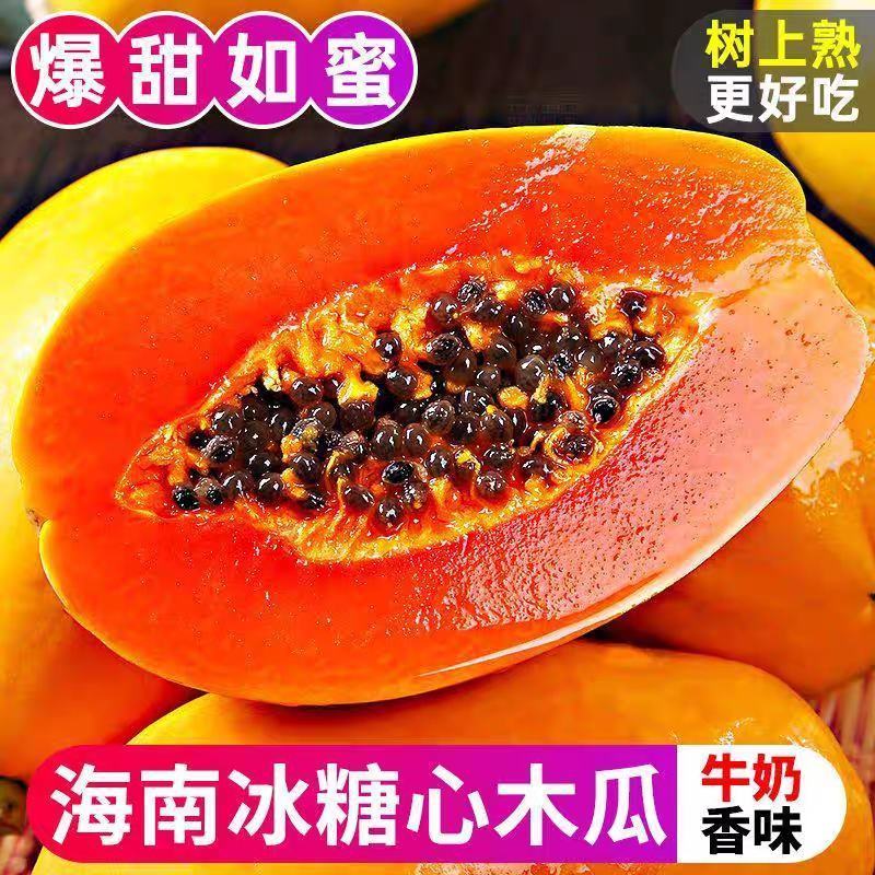 海南红心牛奶木瓜/红心木瓜/冰糖木瓜/一件代发/顺丰包邮