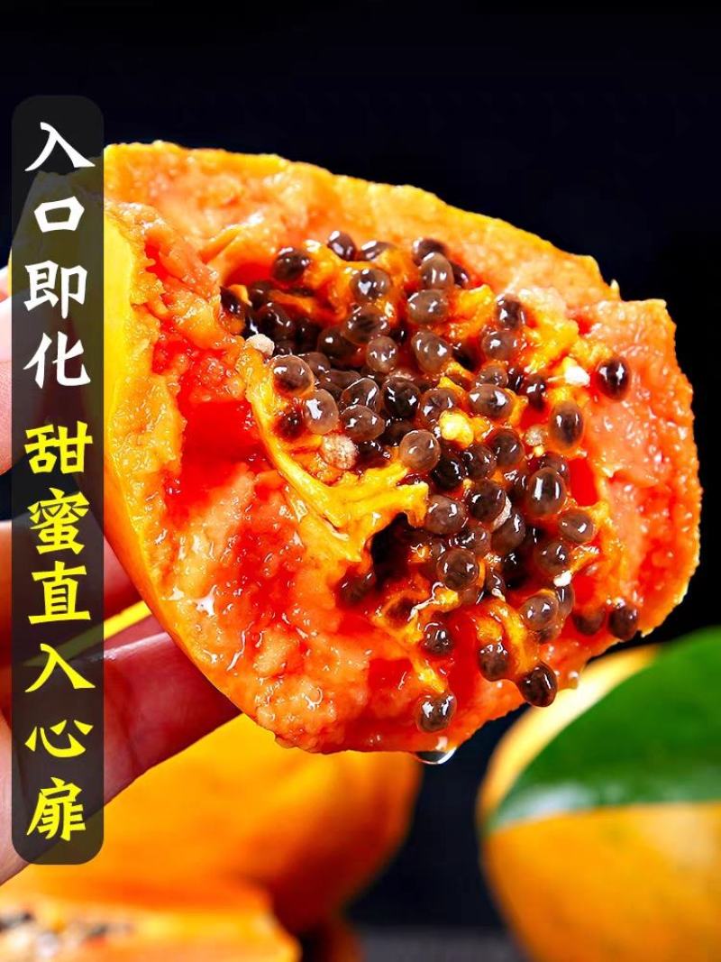 海南红心牛奶木瓜/红心木瓜/冰糖木瓜/一件代发/顺丰包邮