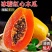 海南红心牛奶木瓜/红心木瓜/冰糖木瓜/一件代发/顺丰包邮