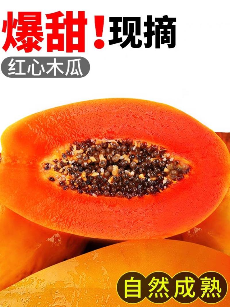 海南红心牛奶木瓜/红心木瓜/冰糖木瓜/一件代发/顺丰包邮