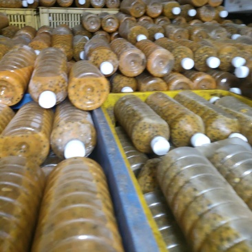 广西百香果酸甜精品原果酱有货特价大卖活动