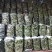 【在售】夏邑密刺黄瓜大量上市，质量好价格低，对接全国客商
