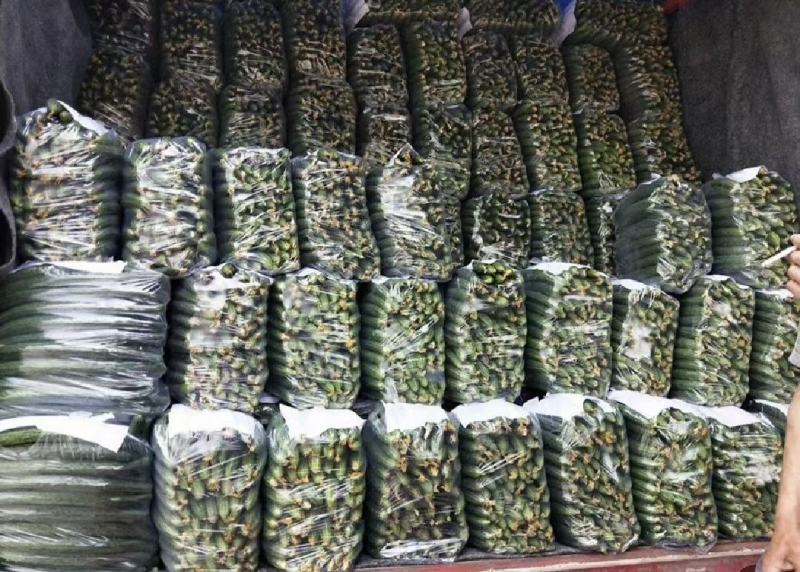 【在售】夏邑密刺黄瓜大量上市，质量好价格低，对接全国客商
