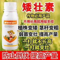 矮壮素50%矮壮素蔬菜果树小麦控旺抗倒伏促进分蘖生长调