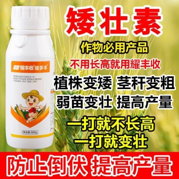 矮壮素50%矮壮素蔬菜果树小麦控旺抗倒伏促进分蘖生长调