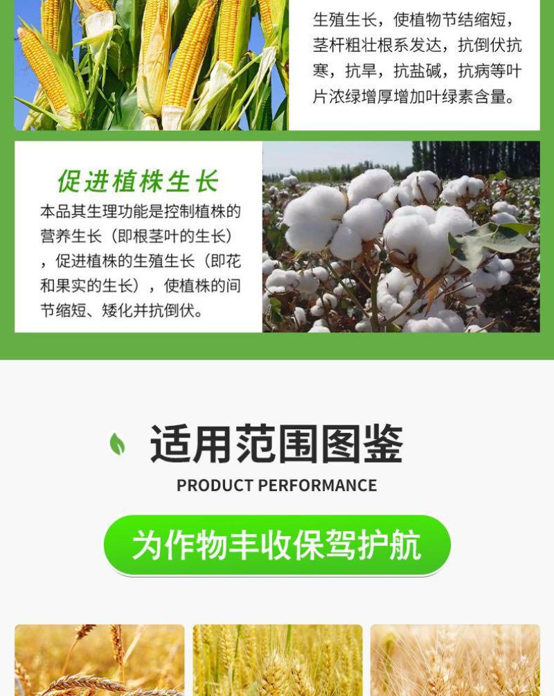矮壮素50%矮壮素蔬菜果树小麦控旺抗倒伏促进分蘖生长调