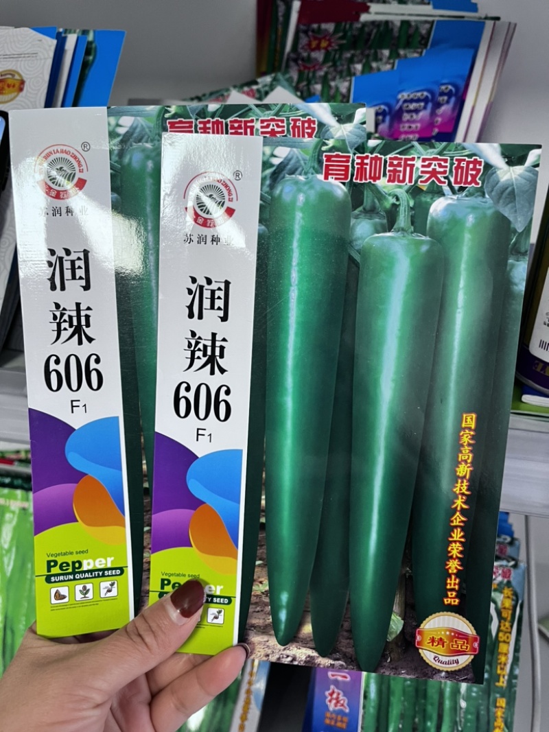 润辣606牛椒品种杂交一代品种种子肉厚青皮青椒品种种子