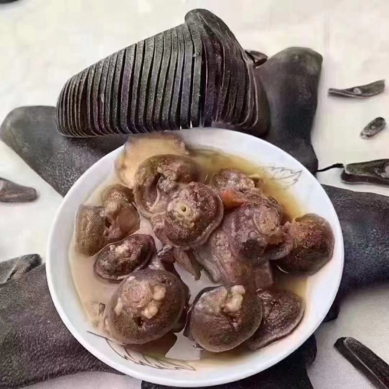 吉林双阳鹿场梅花鹿干鹿尾鲜鹿尾一手货源大量批发