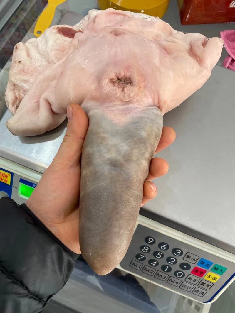 吉林双阳鹿场梅花鹿干鹿尾鲜鹿尾一手货源大量批发