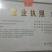 丑美人，嫁接枝条。眉山鑫科柑桔母本园。欢迎实地考察