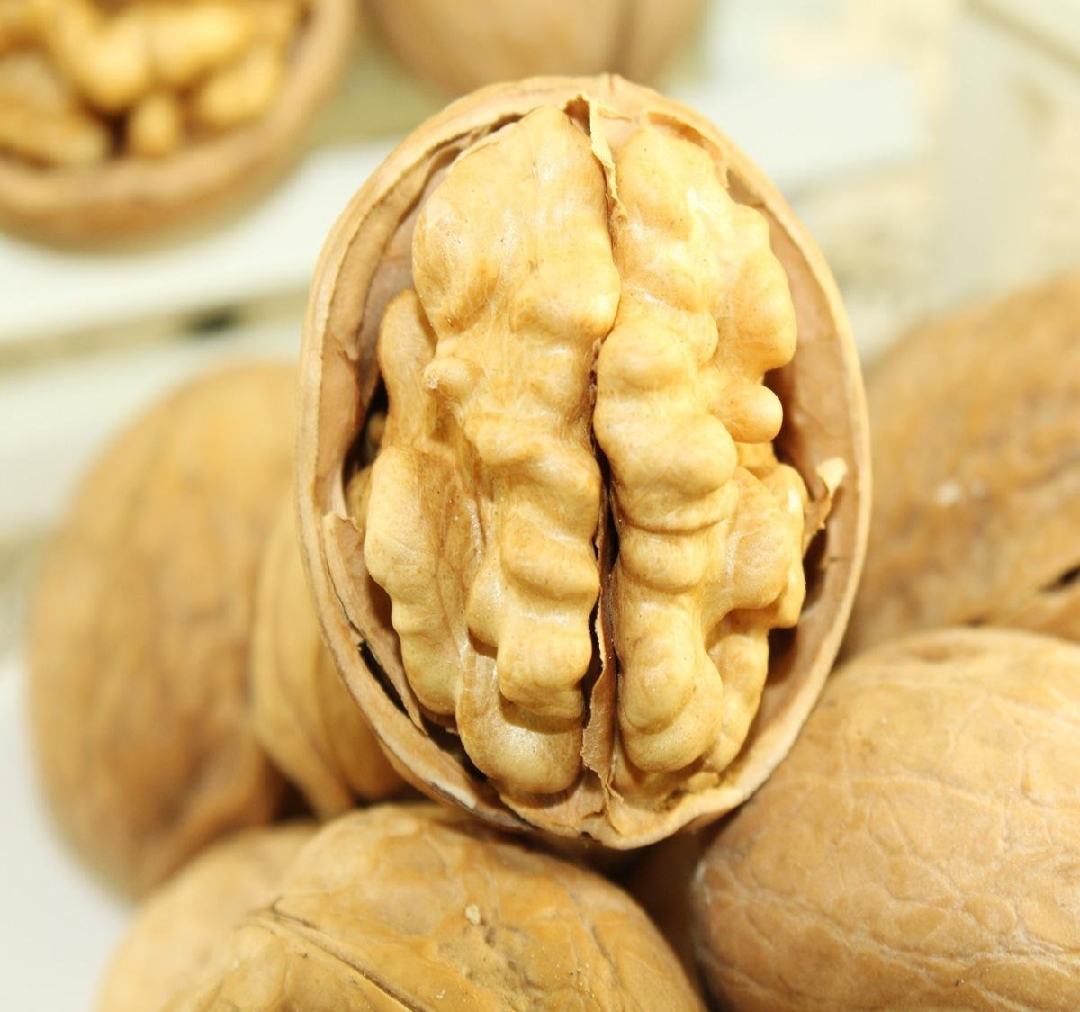 展示一颗完整的薄皮嫩核桃,外壳光滑细腻,果仁饱满透亮 薄皮嫩核桃特写