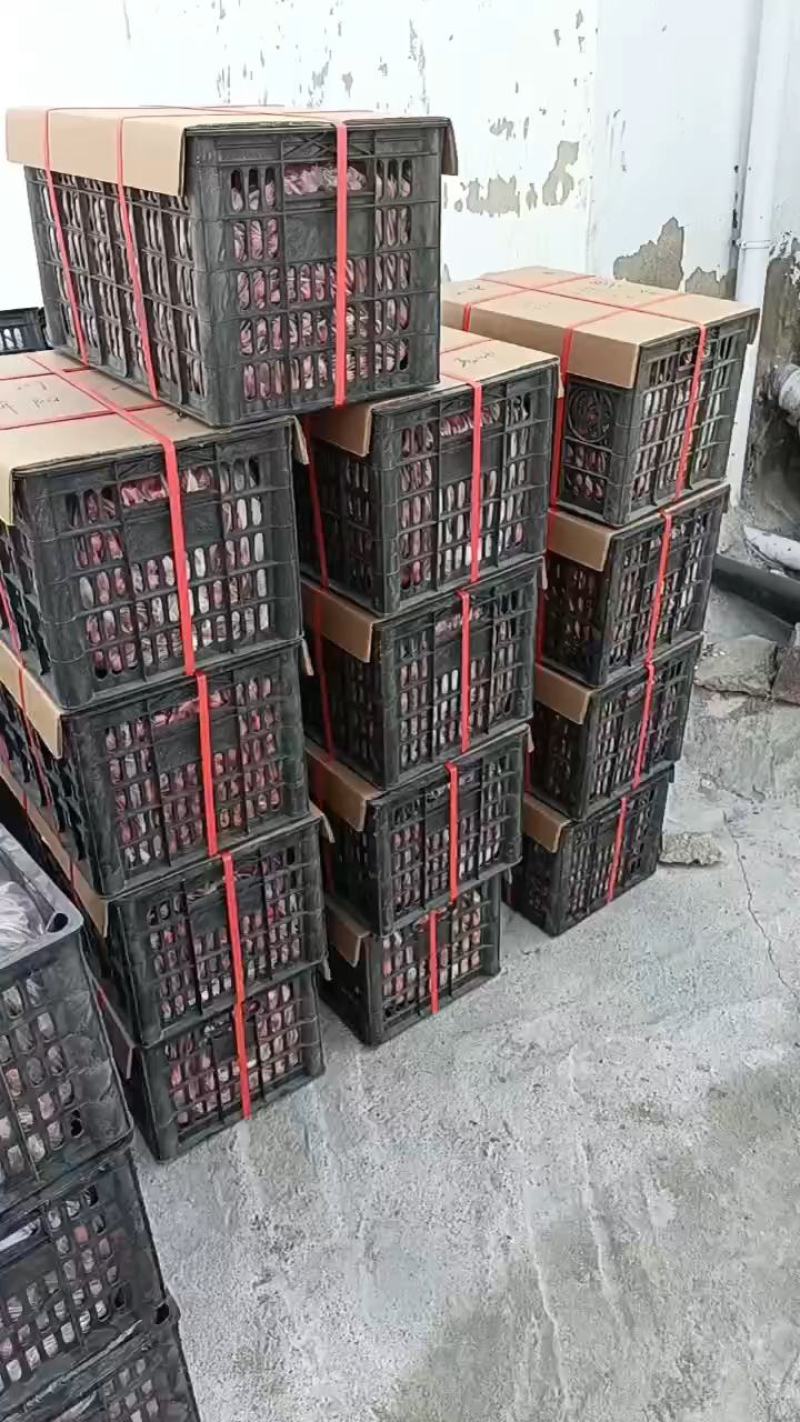 甜红子山楂可用于炒糖球可视频看货整年供货坏果包赔