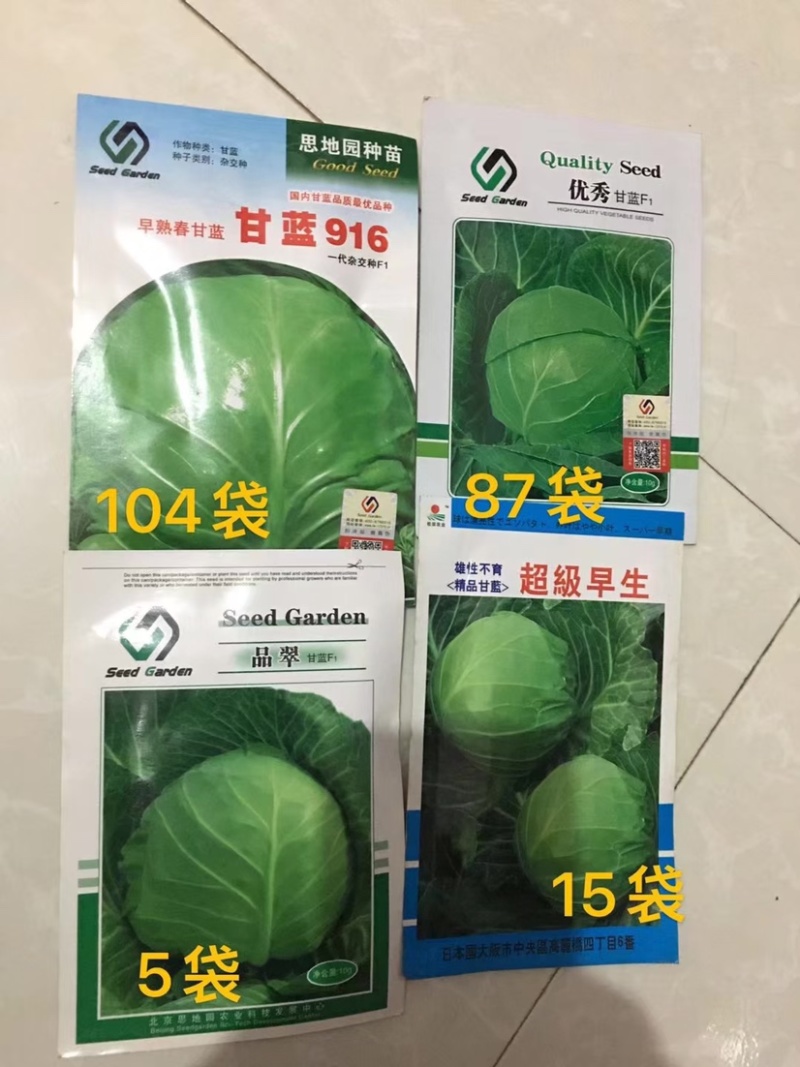 特价处理，早雷，916等甘蓝种子春秋品种