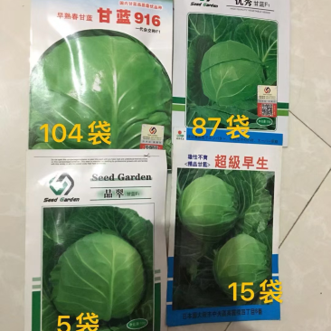 特价甘蓝种子处理，916.**等品种
