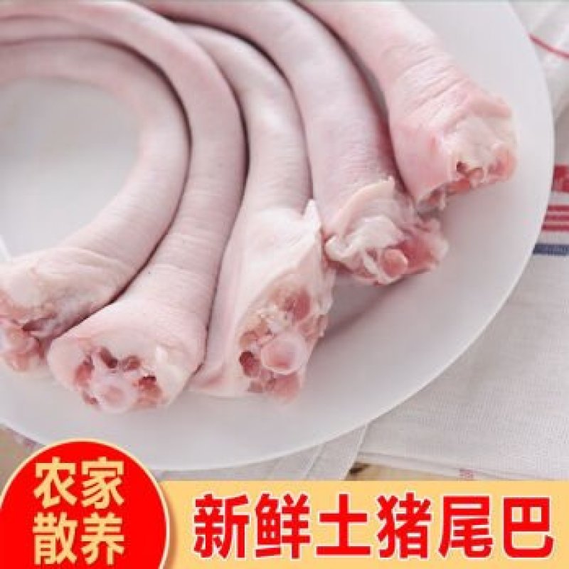 长猪尾巴短尾巴牛大力煲汤农家放养土猪新鲜冷藏，