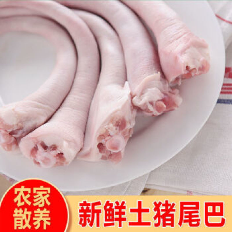 长猪尾巴短尾巴牛大力煲汤农家放养土猪新鲜冷藏，