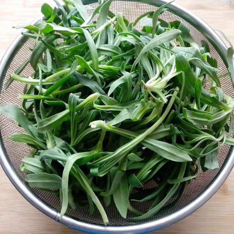 【基地直供】面条菜-山东聊城面条菜-野菜一手货源全国发货