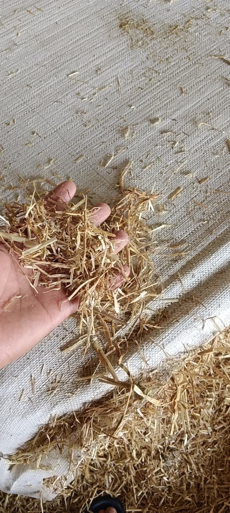 安徽小麦秸秆，牛羊饲草，质量可靠，量大从优，欢迎采购