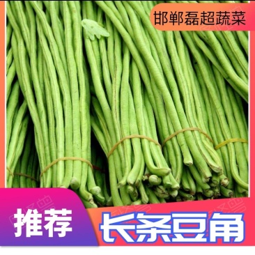 河北邯郸精品青条豆角大量有货各地客户需要的联系我