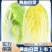 【热销】白菜河北大白菜全国发货可视频看货量大从优
