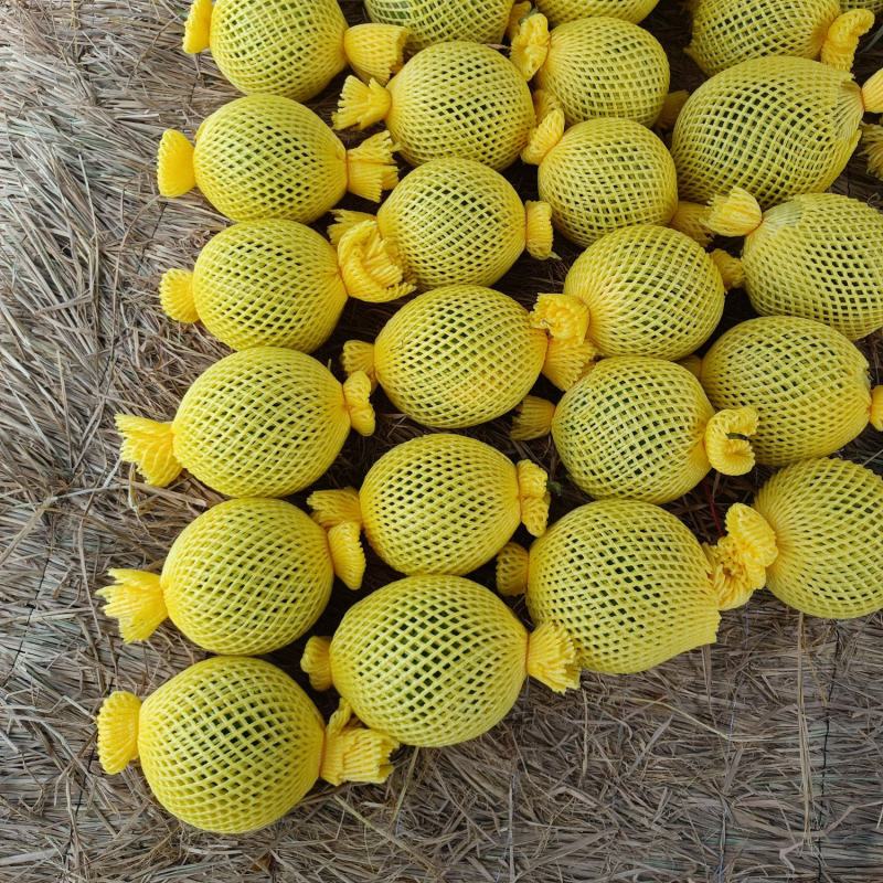 特小凤