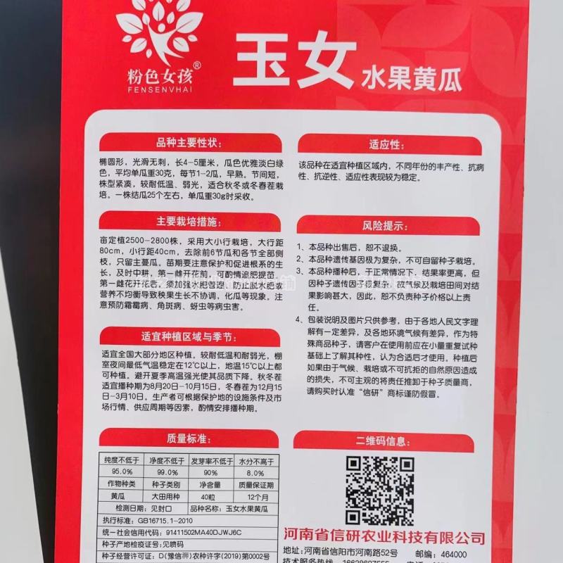 玉女黄瓜种子强雌性脆甜节节有瓜水果黄瓜种子无刺光滑小黄瓜