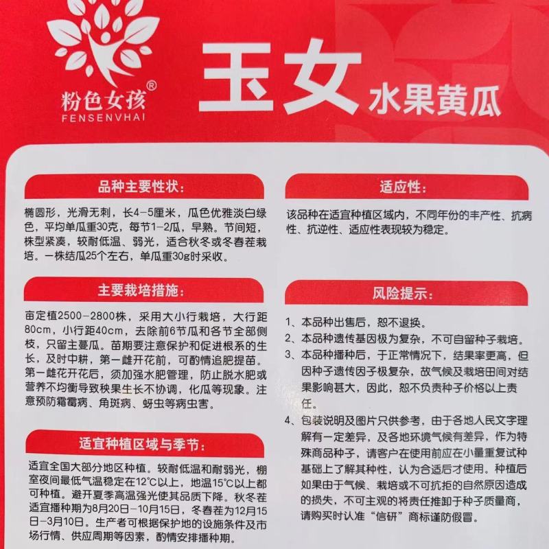 玉女黄瓜种子强雌性脆甜节节有瓜水果黄瓜种子无刺光滑小黄瓜