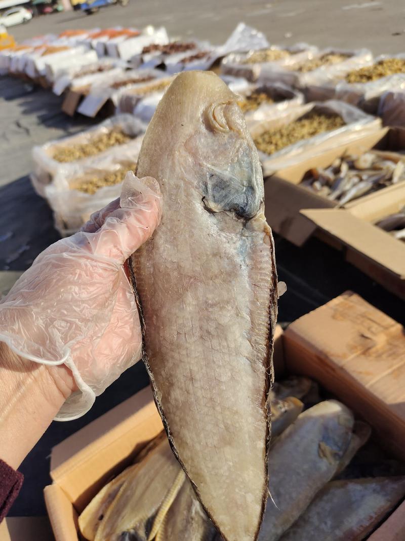 塔米鱼，也叫龙利鱼舌头鱼，腌制咸鱼干！大量现货供应
