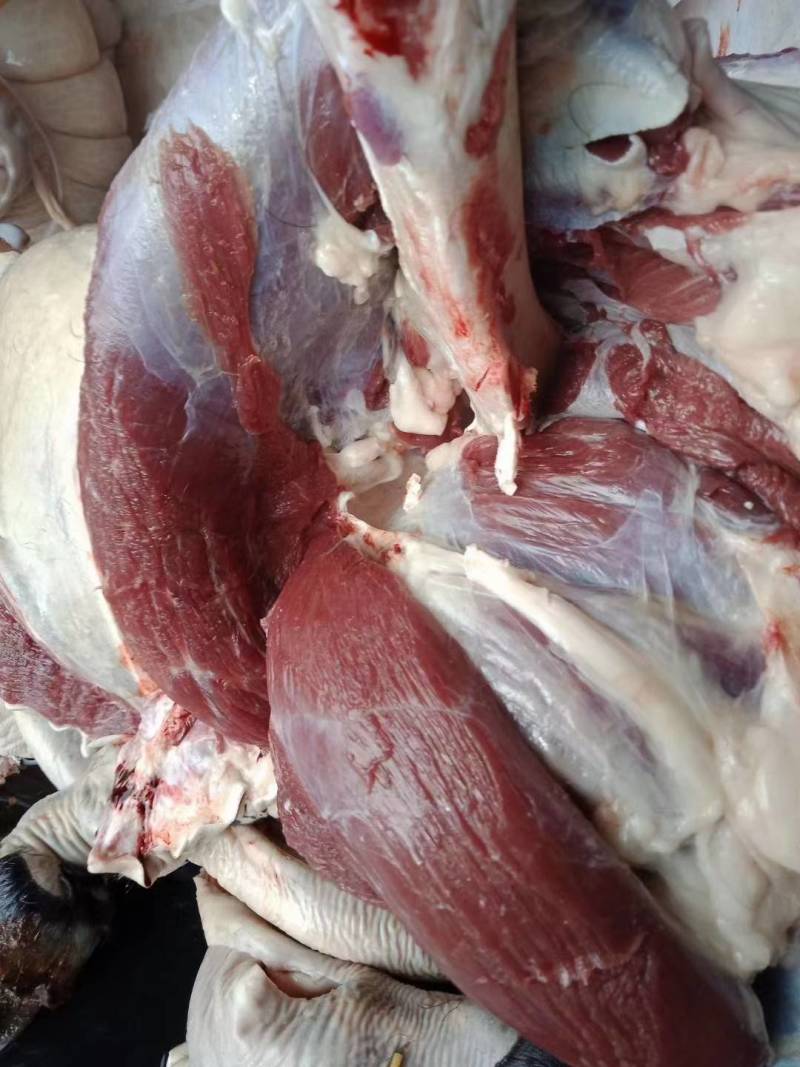 驴肉批发