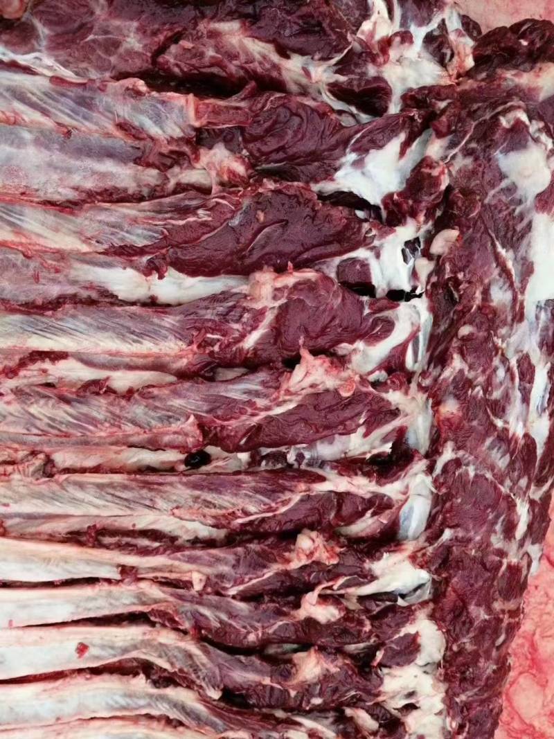 驴肉批发