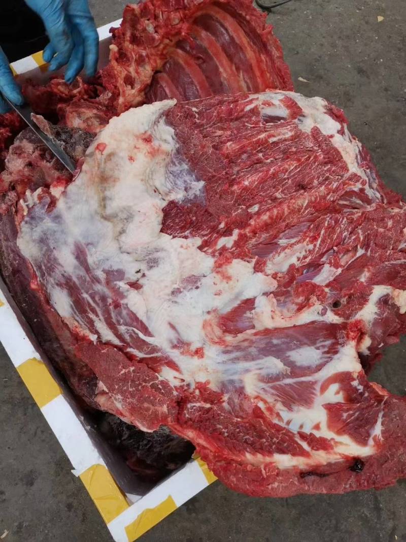 驴肉批发