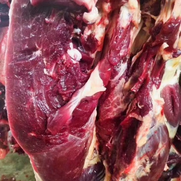 驴肉批发