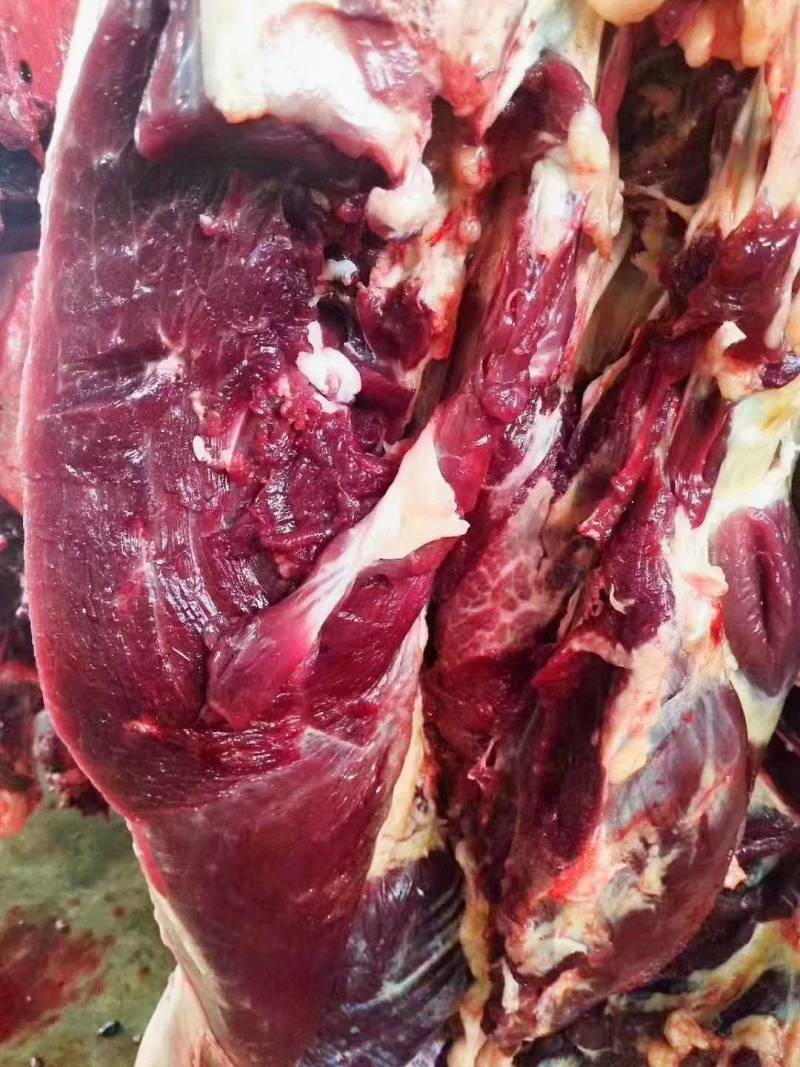 驴肉批发