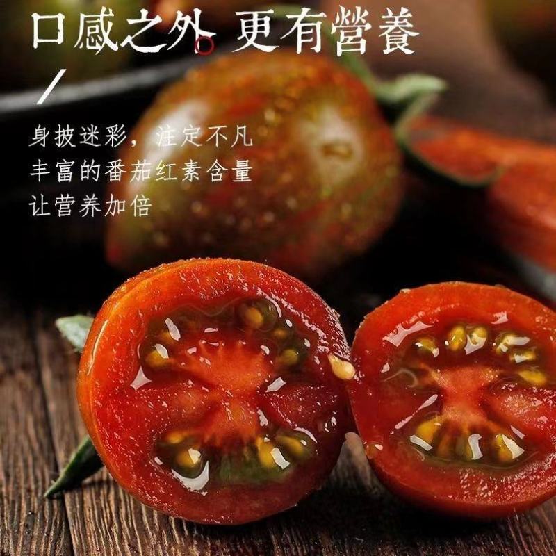 【迷彩小番茄】寿光圣女果产地直发供应电商超市市场欢迎选购