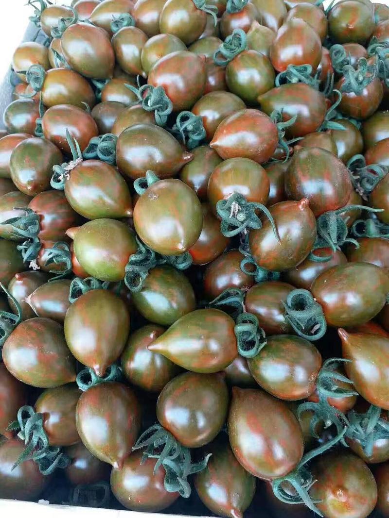 【迷彩小番茄】寿光圣女果产地直发供应电商超市市场欢迎选购