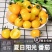 【精品】寿光夏日阳光黄色圣女果黄樱桃小番茄晶莹剔透甘甜