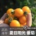 【精品】寿光夏日阳光黄色圣女果黄樱桃小番茄晶莹剔透甘甜