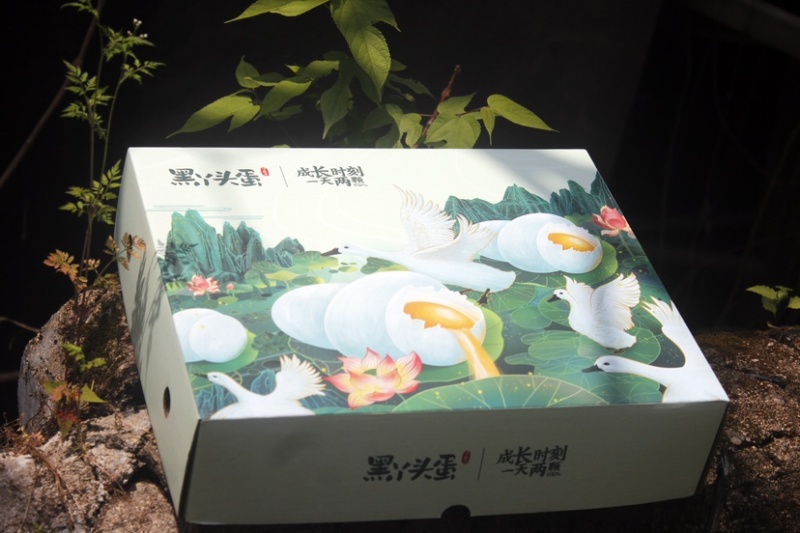 福建•客家连城富硒正宗散养白鹭鸭蛋（鲜蛋）