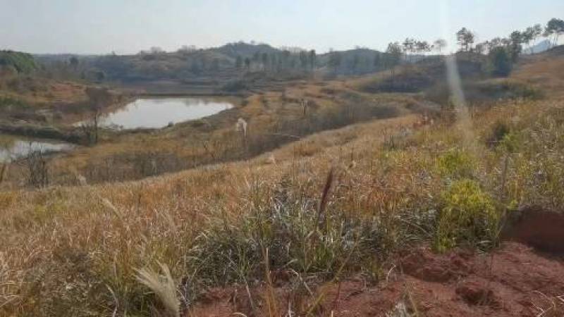 大面积湖南农村集体土地荒山水塘出租流转，