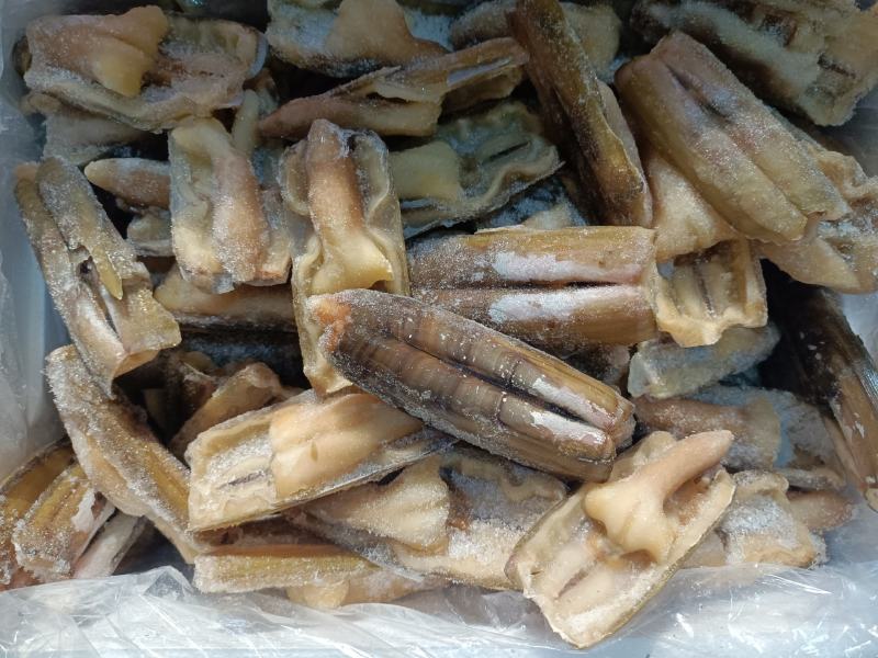 带壳去沙蛏子