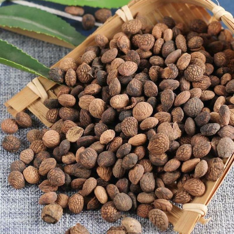 芮仁干货蕤仁中药材欢迎选购！量大从优！