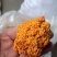 金耳，黄金耳菌，槐耳金耳菌椴木金耳批发零售