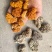 金耳，黄金耳菌，槐耳金耳菌椴木金耳批发零售
