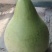 农家菜葫芦种子，10粒