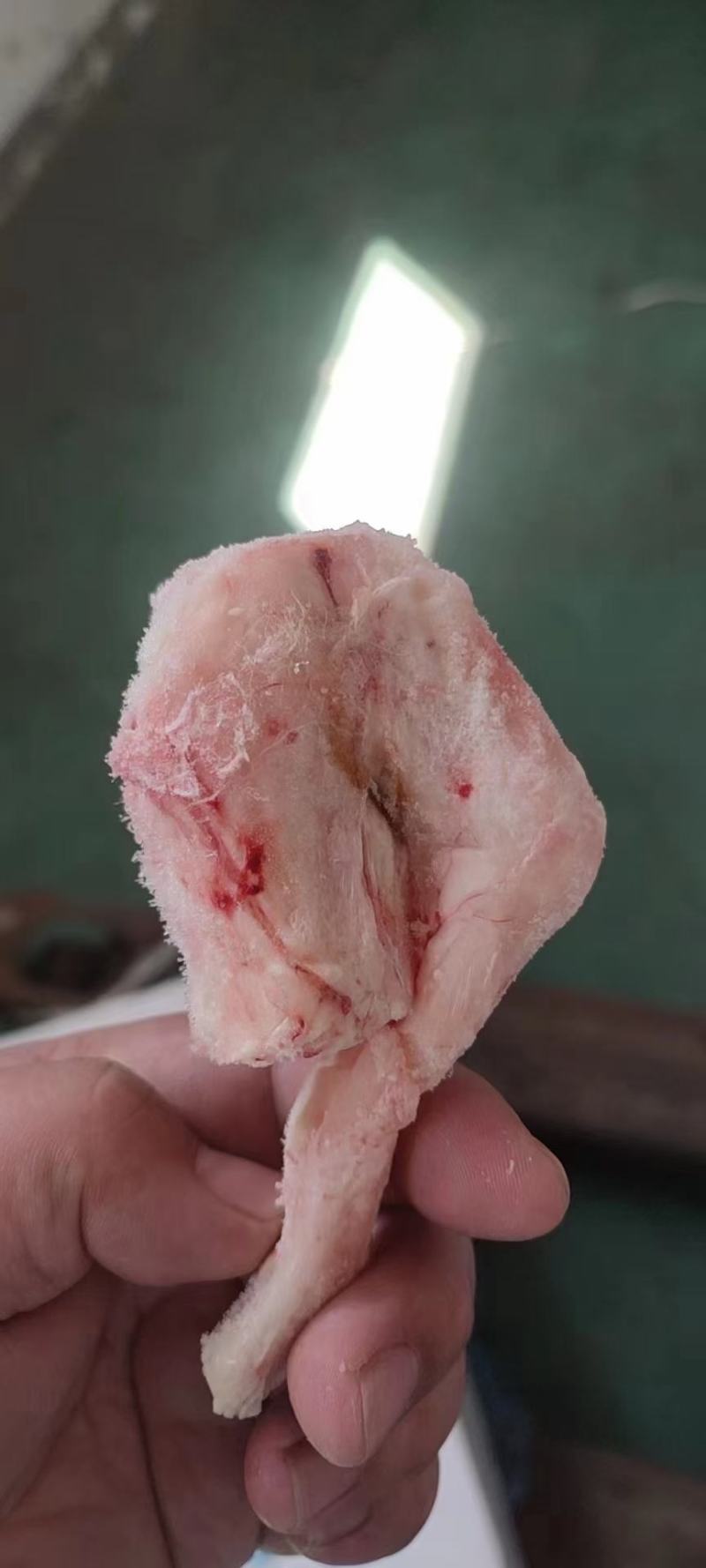 羊拐筋