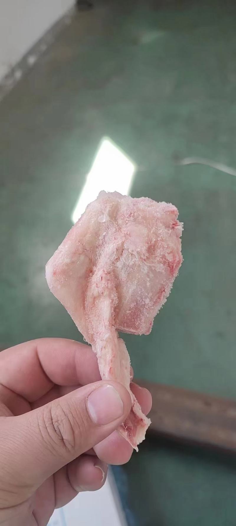 羊拐筋
