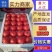 西红柿量大质优!产地直发精品弧三以上!