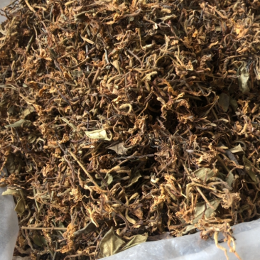 金银花