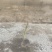 种植的紫笋绿笋马上就要上市了，产品预售。欢迎新老客户订货